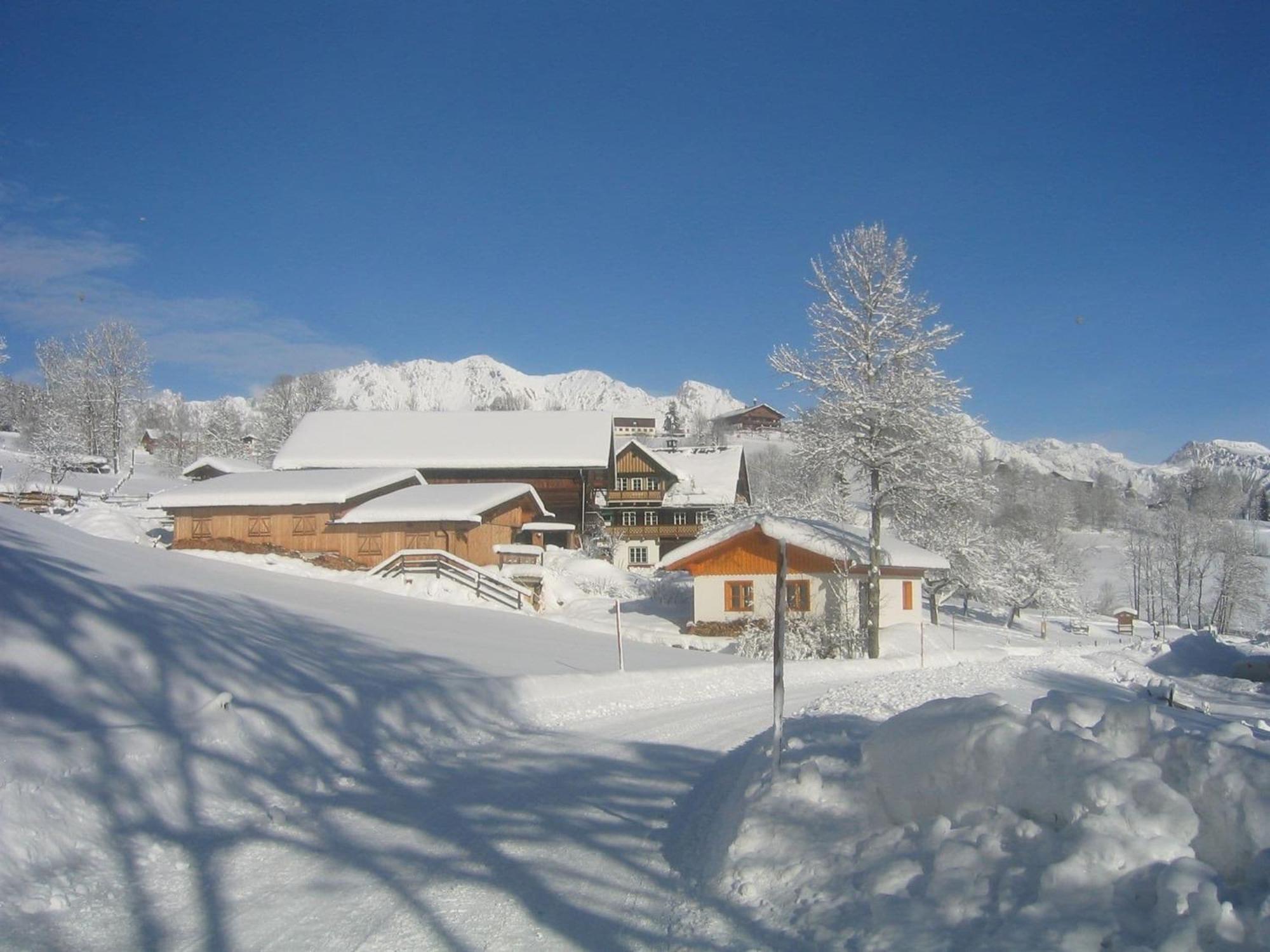 Cozy Holiday Apartment With Sauna In Schladming Exteriér fotografie