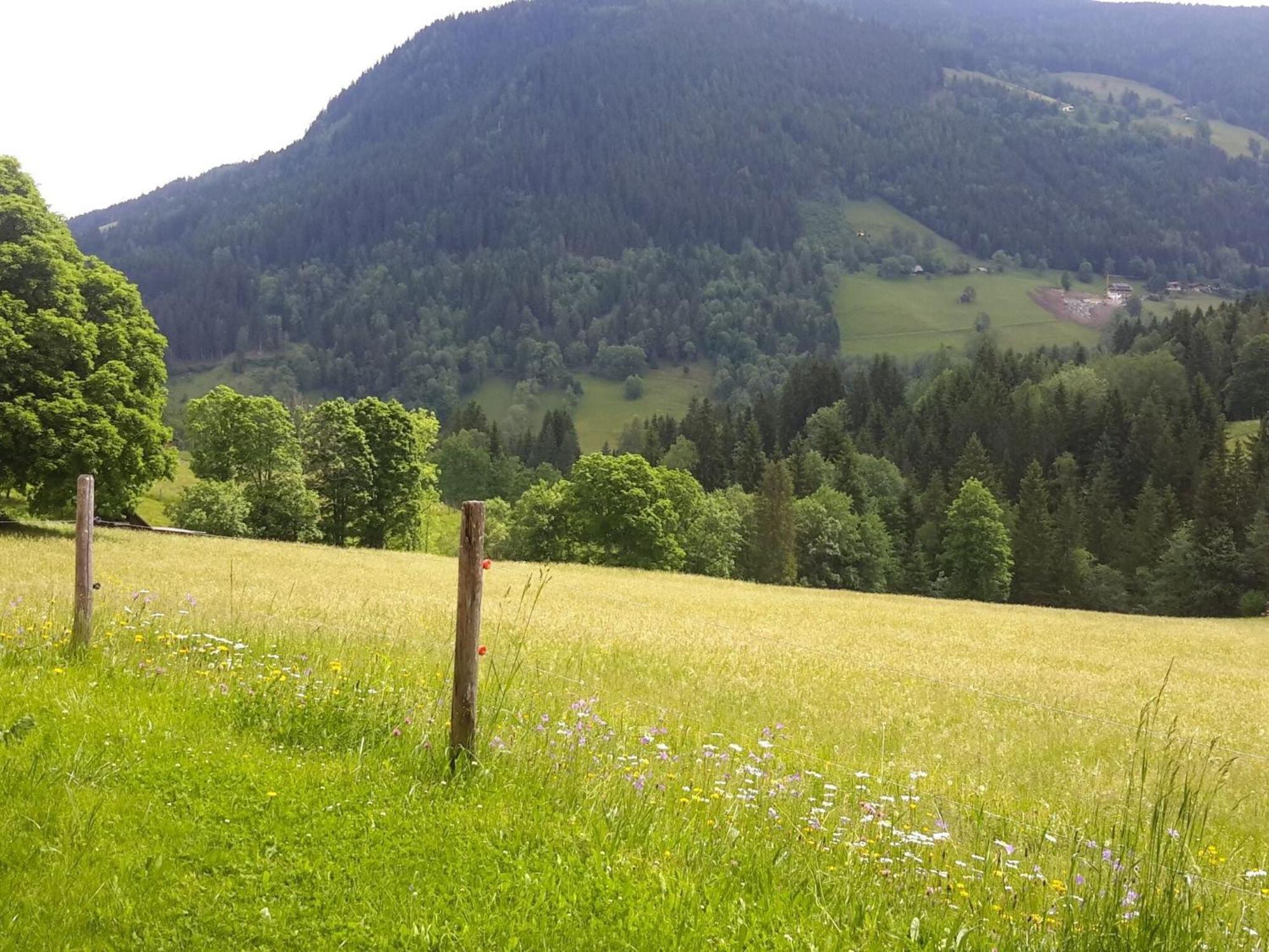 Cozy Holiday Apartment With Sauna In Schladming Exteriér fotografie